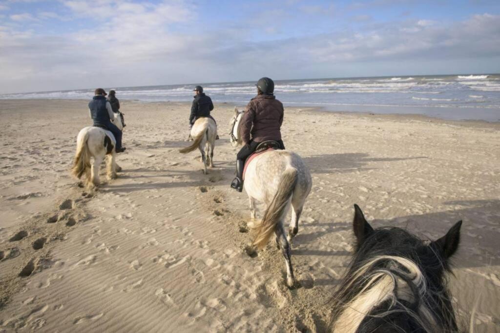 Maison Independante De Hardelot Holiday home *